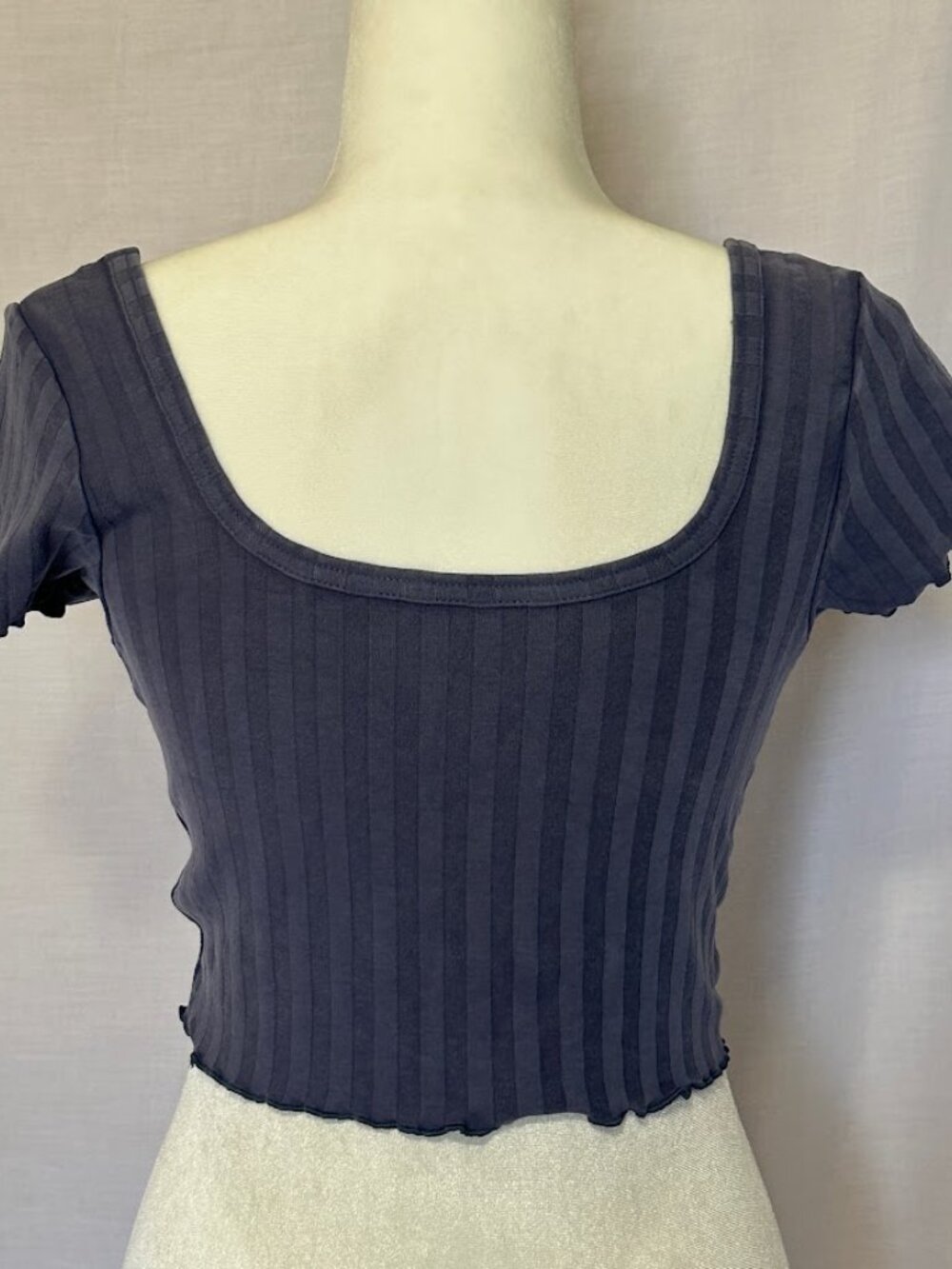 Offline by Aerie Ribbed Cropped Tee Top Purple Blue Size M NWT Minimalist - Picture 3 of 7